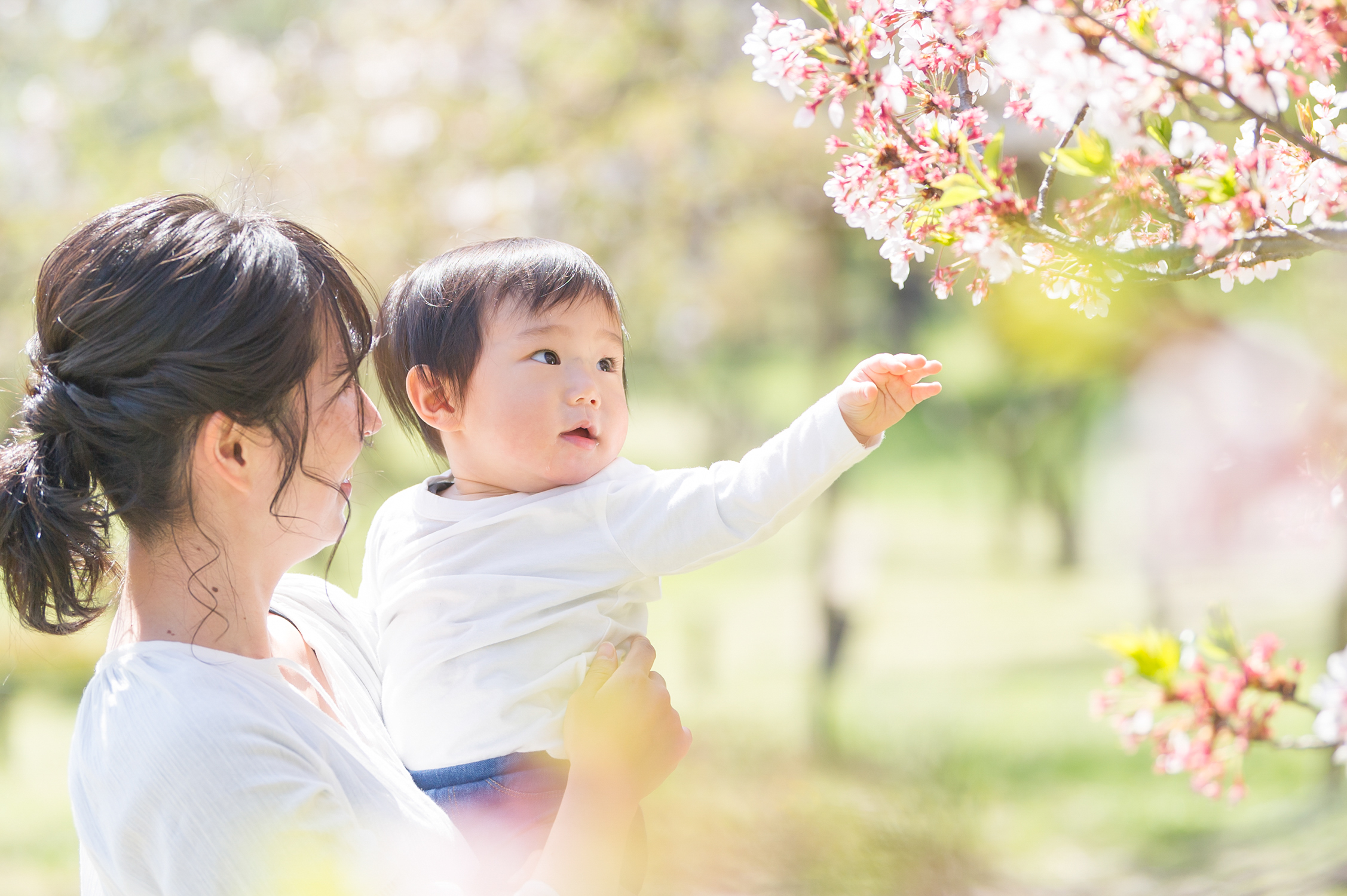 撮影の時間帯について